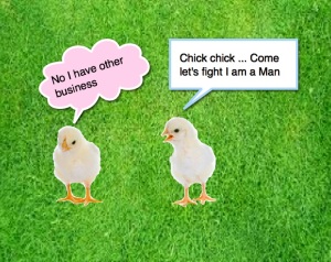 talking-chicks